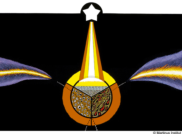 symbol 25b
